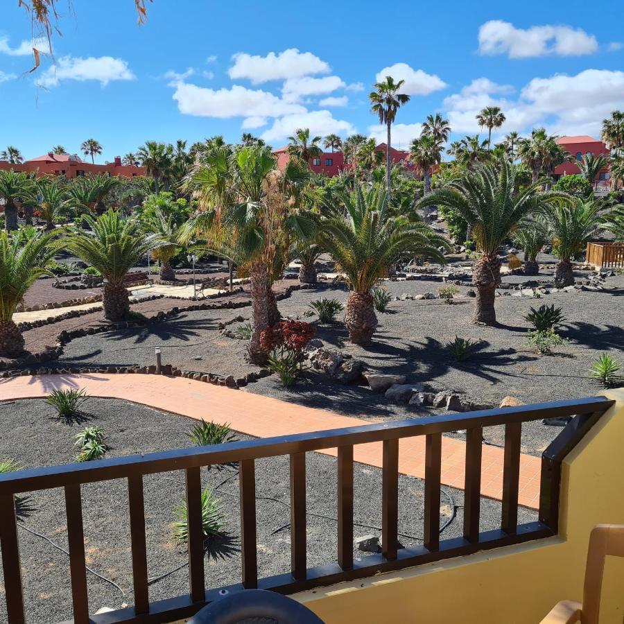 Oasis Royal F320 Lejlighed Corralejo Eksteriør billede